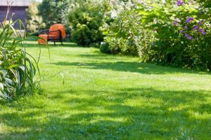 travaux jardin et paysage Notre-Dame-de-l'Isle